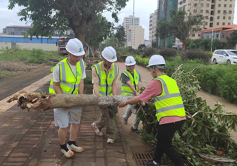 台风后的温暖力量！我司助力徐闻县清障，获新华社关注！